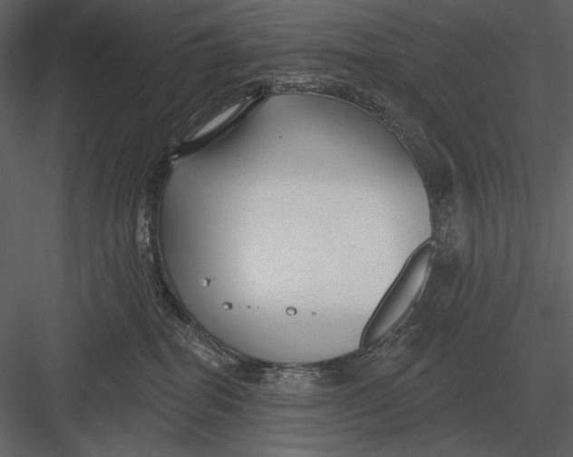 X0000082930282200702222227