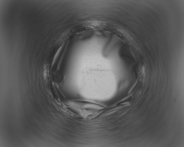 X0000082930284200702222228