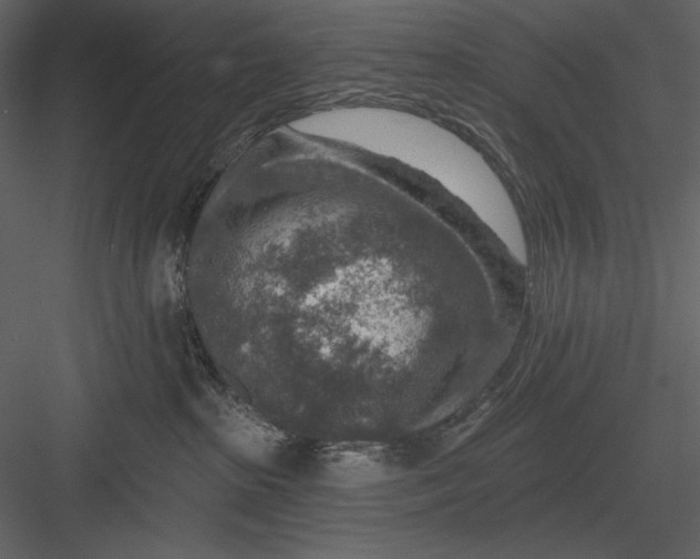 X0000082930285200702222228