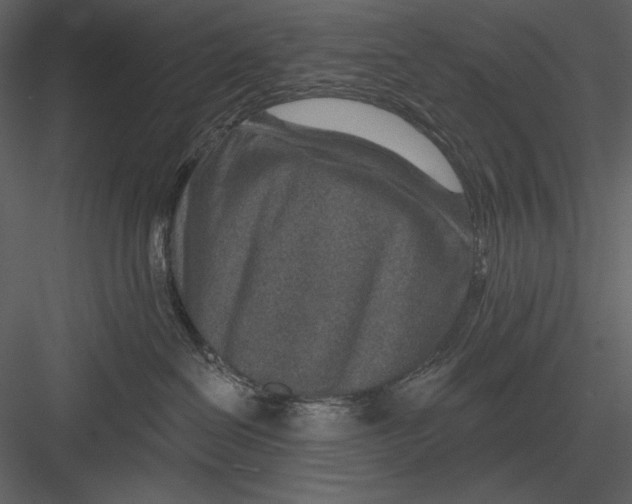 X0000082930286200702222228