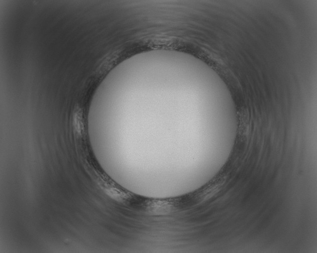 X0000082930287200702222228