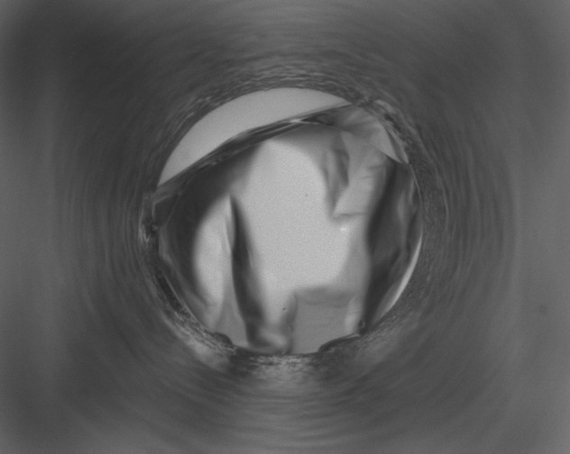 X0000082930288200702222228