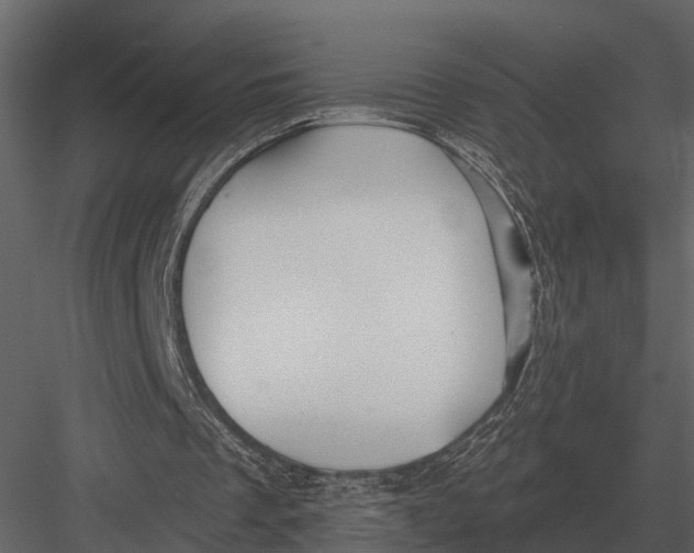 X0000082930289200702222227