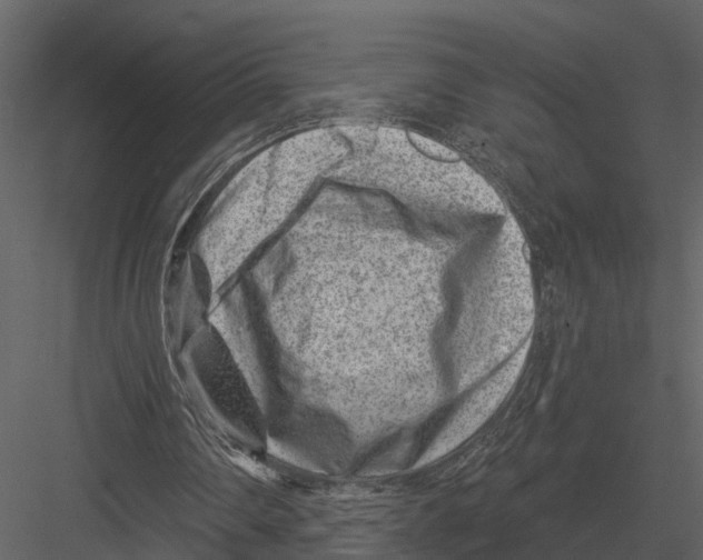 X0000082930290200702222227