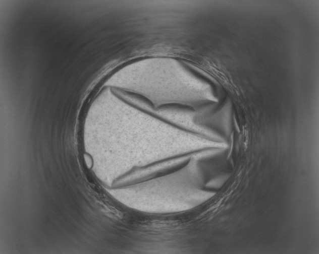 X0000082930292200702222227