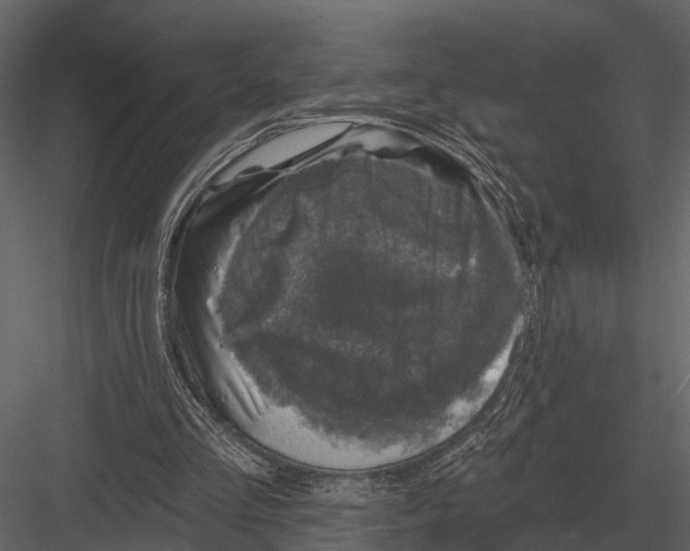 X0000082930293200702222227