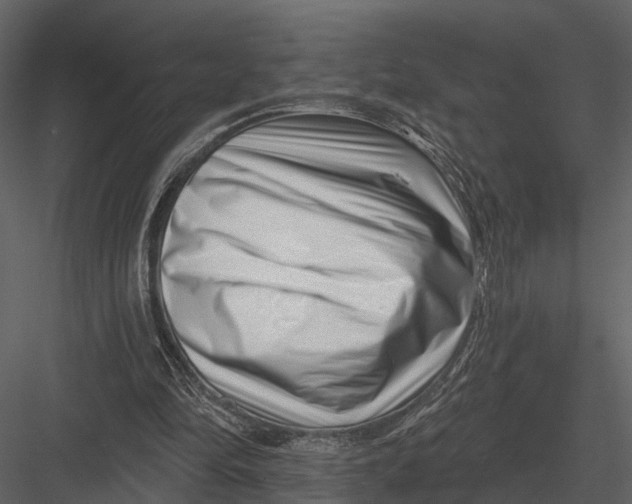 X0000082930294200702222227