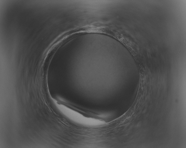 X0000082930295200702222227