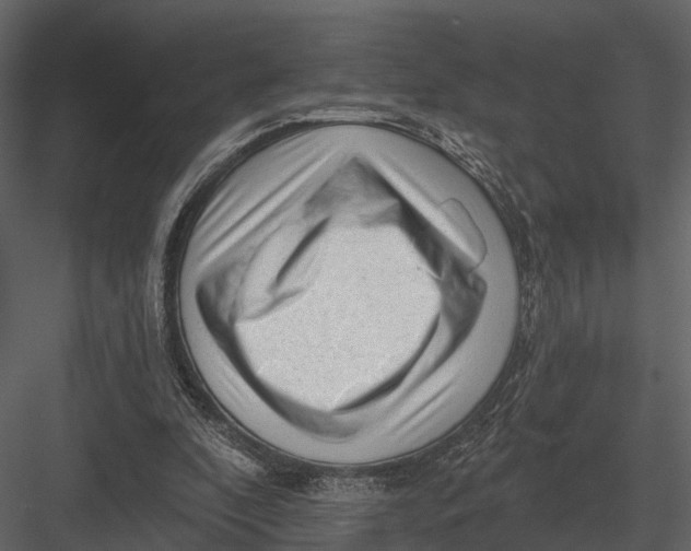 X0000082930296200702222227