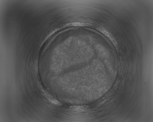 X0000082930297200702222227