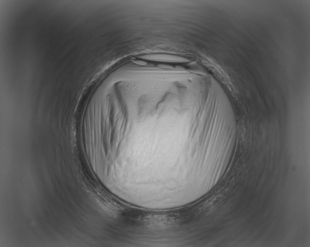 X0000082930298200702222227