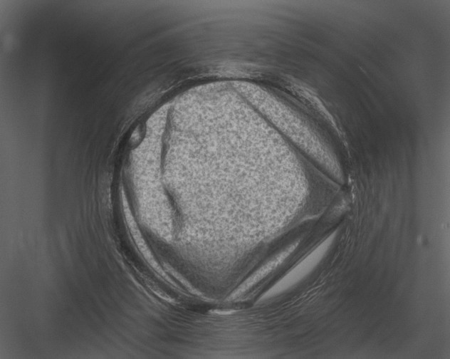 X0000082930299200702222227