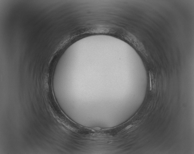 X0000082930300200702222227