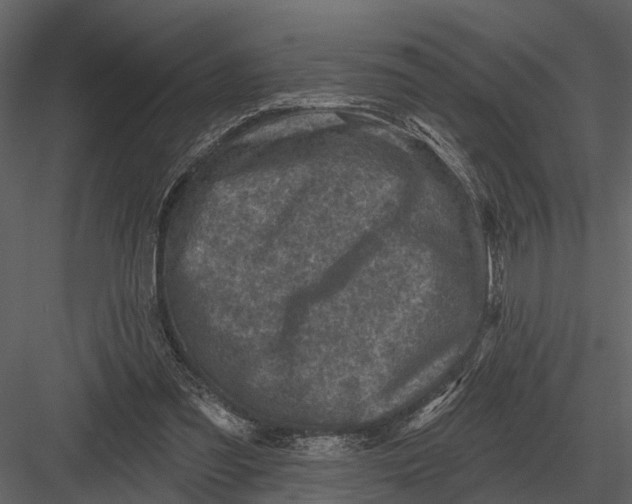 X0000082930301200702222227