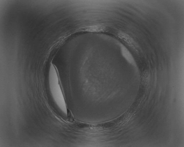 X0000082930303200702222227