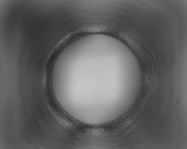 X0000082930304200702222227