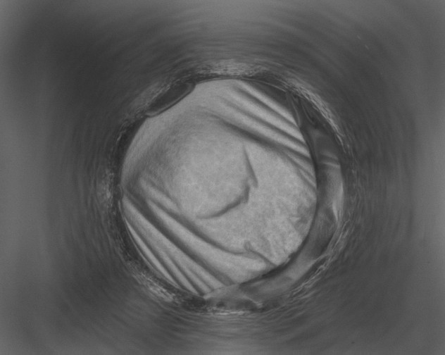 X0000082930305200702222226