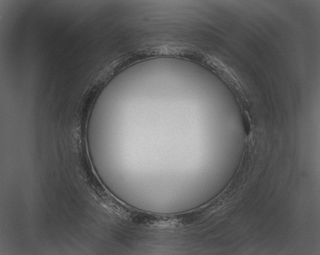 X0000082930306200702222226