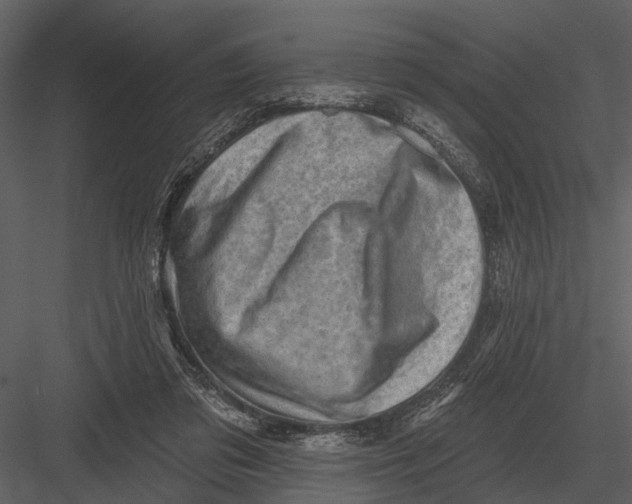 X0000082930309200702222226