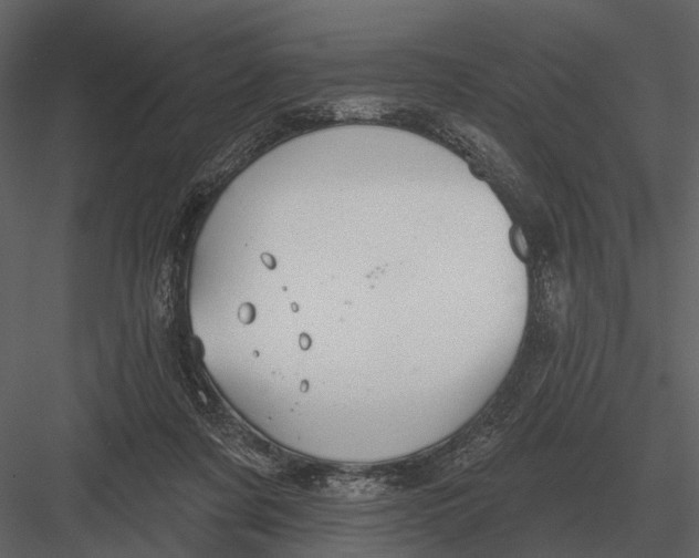 X0000082930311200702222226