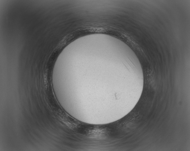 X0000082930312200702222226