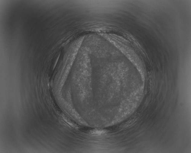 X0000082930313200702222226