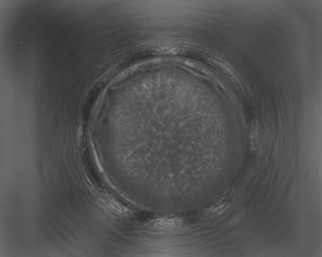 X0000082930314200702222226