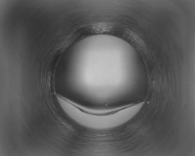 X0000082930315200702222226