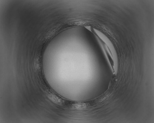 X0000082930317200702222226