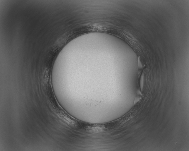 X0000082930318200702222226