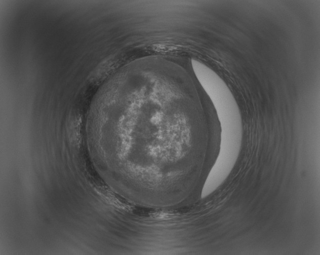 X0000082930319200702222226