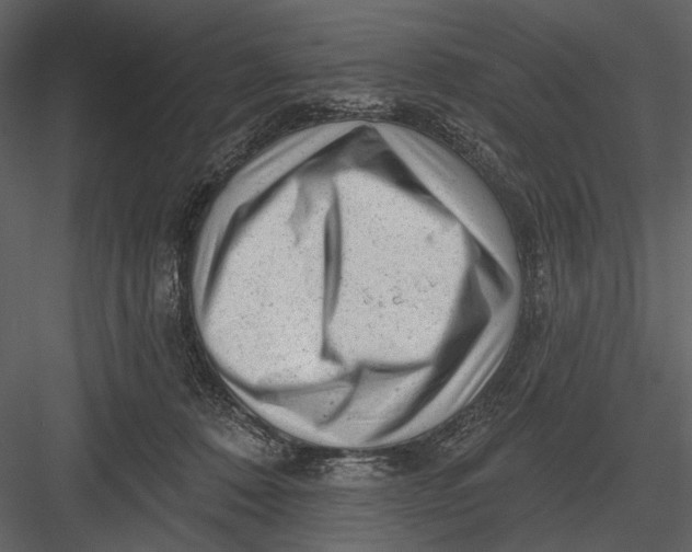 X0000082930320200702222226