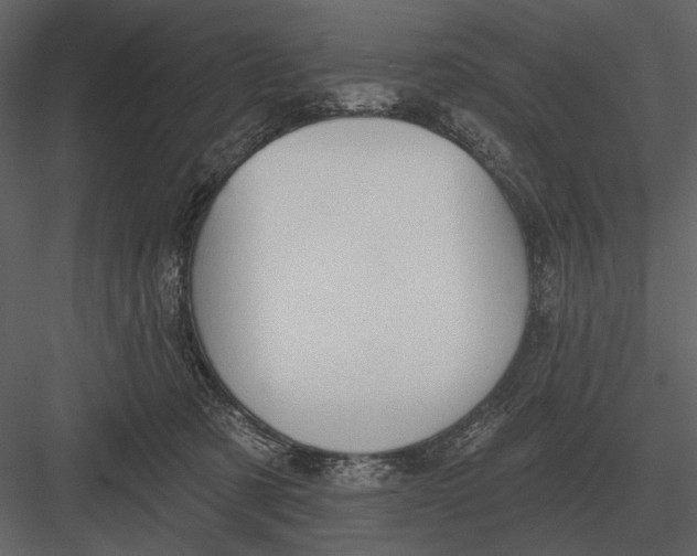 X0000082930321200702222226