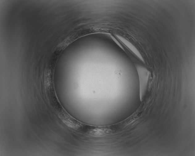 X0000082930323200702222226