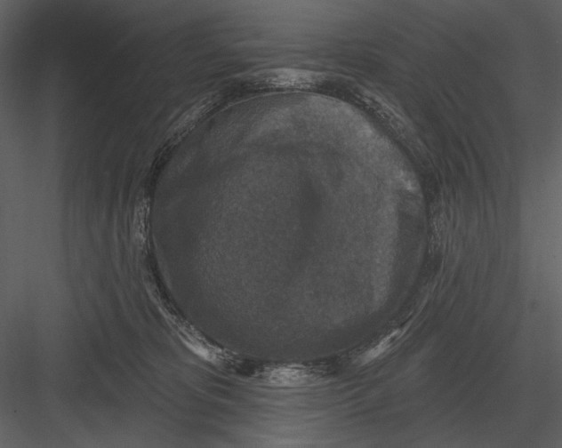 X0000082930325200702222226