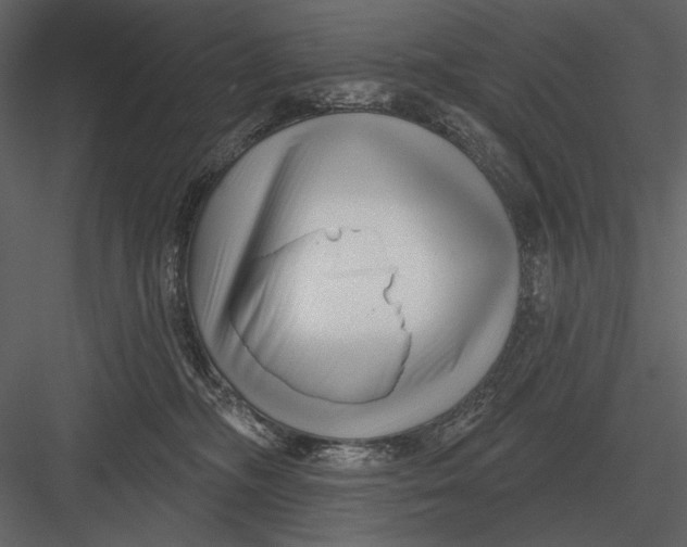 X0000082930326200702222226