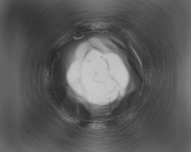 X0000082930327200702222226