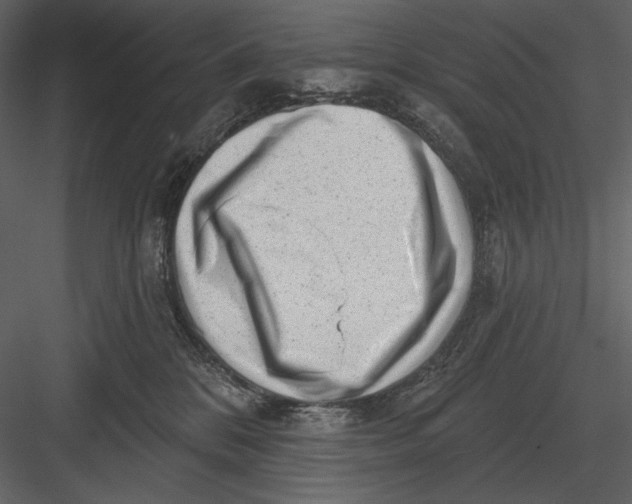 X0000082930328200702222226