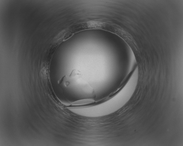 X0000082930329200702222226