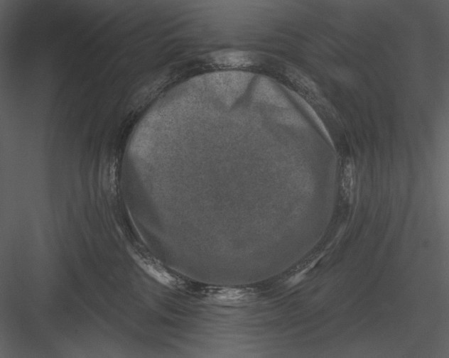 X0000082930330200702222226