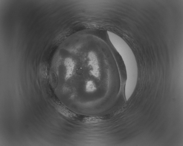 X0000082930331200702222226