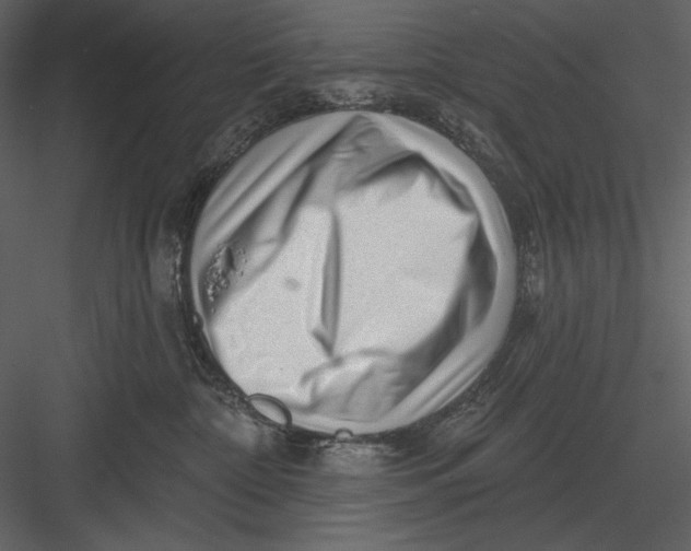 X0000082930332200702222226