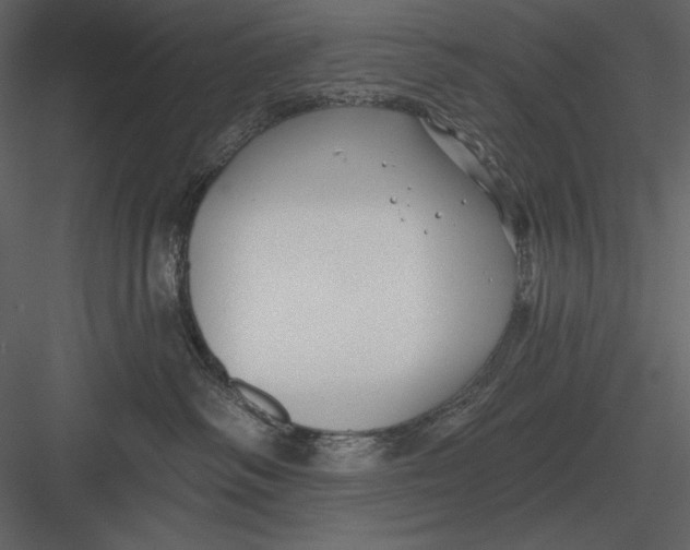 X0000082930334200702222226