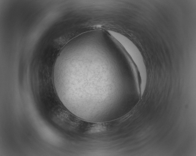 X0000082930335200702222226