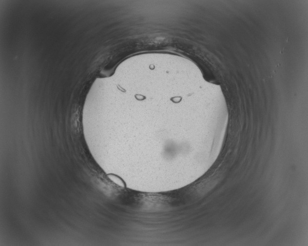 X0000082930336200702222226