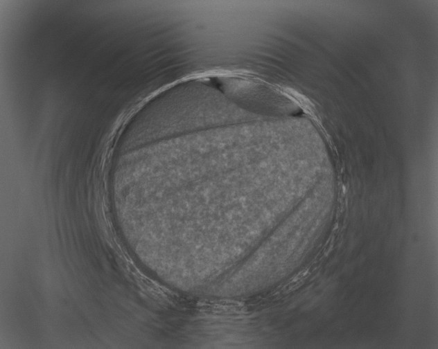 X0000082930337200702222225