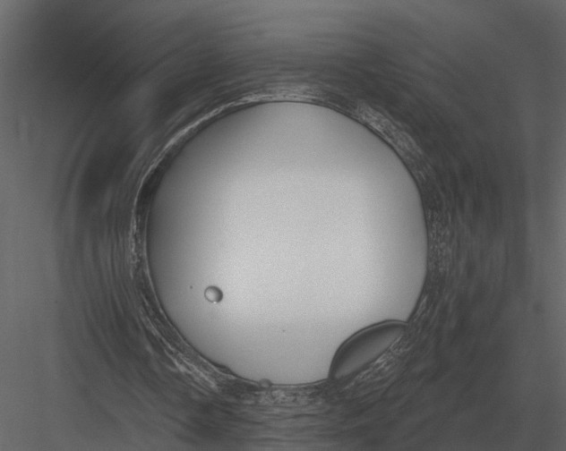 X0000082930338200702222225