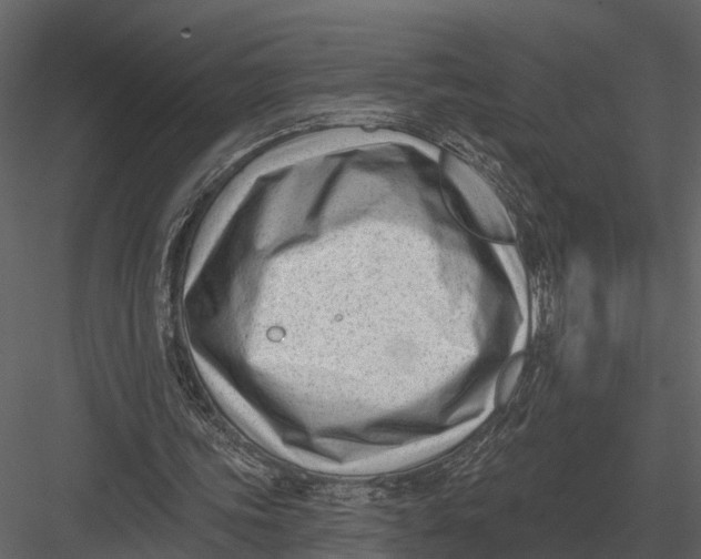 X0000082930339200702222225