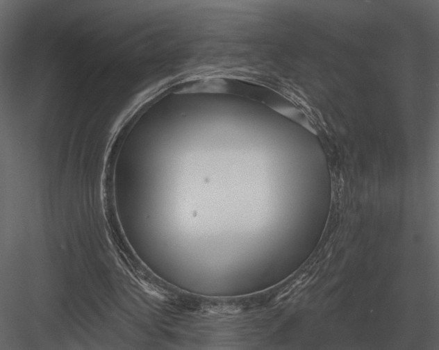 X0000082930340200702222225