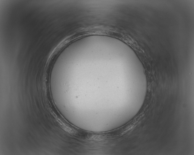 X0000082930341200702222225